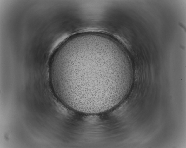 X0000097881406200804041603