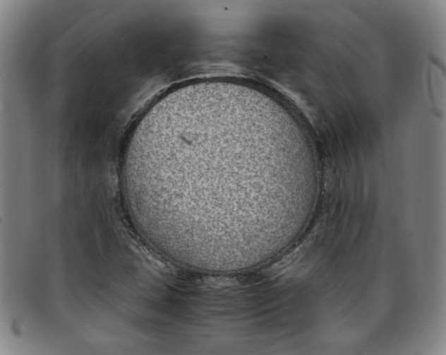 X0000097881407200804041603