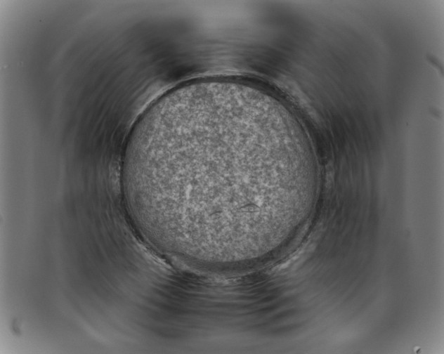 X0000097881409200804041603