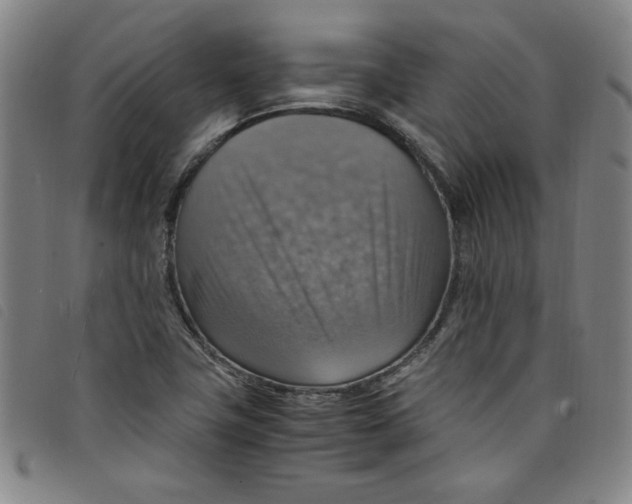 X0000097881411200804041603