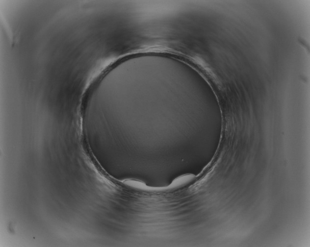 X0000097881414200804041603