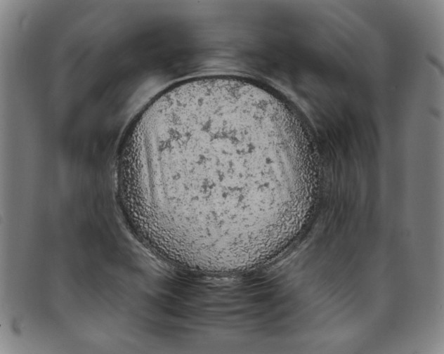 X0000097881415200804041603