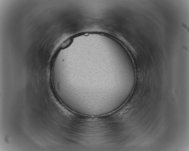 X0000097881416200804041603