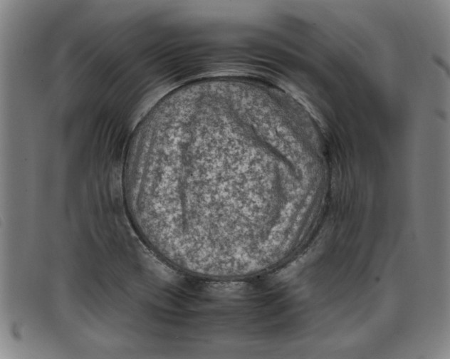 X0000097881417200804041603