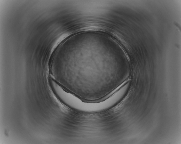 X0000097881418200804041603