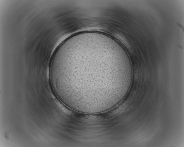 X0000097881420200804041604