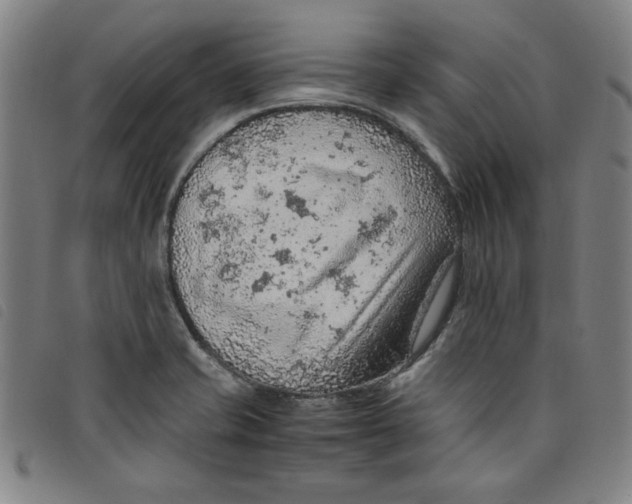 X0000097881421200804041604