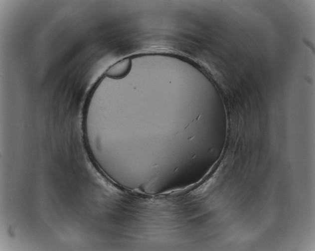 X0000097881422200804041604