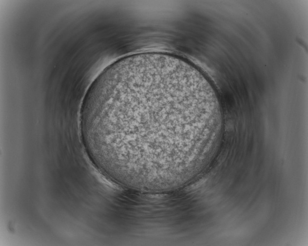 X0000097881423200804041604