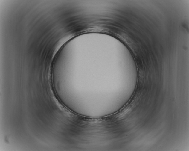 X0000097881426200804041604