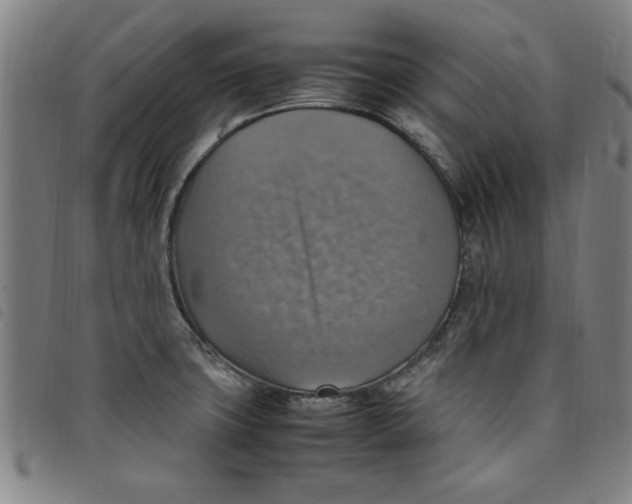 X0000097881427200804041604