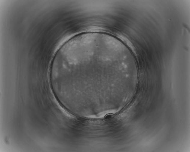 X0000097881429200804041604