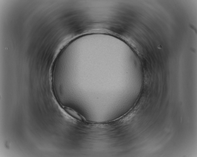 X0000097881430200804041604