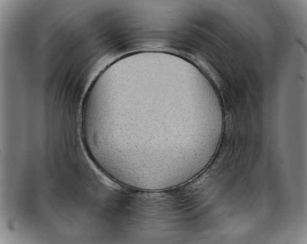 X0000097881432200804041604