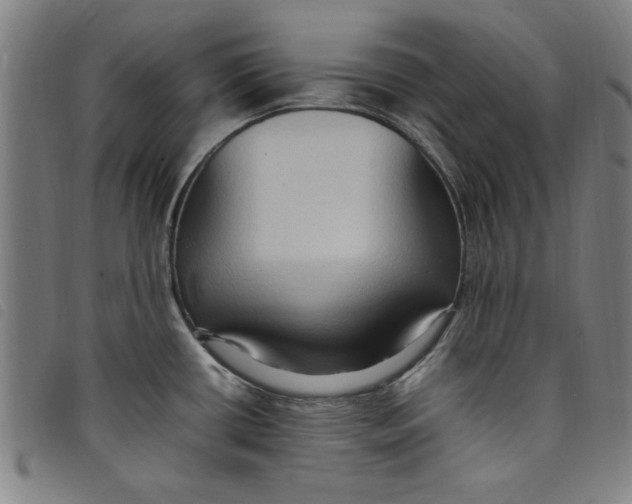 X0000097881434200804041604