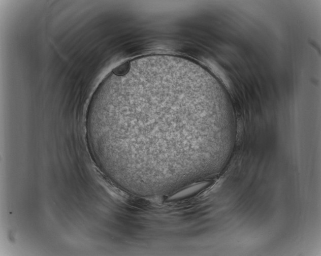 X0000097881435200804041604