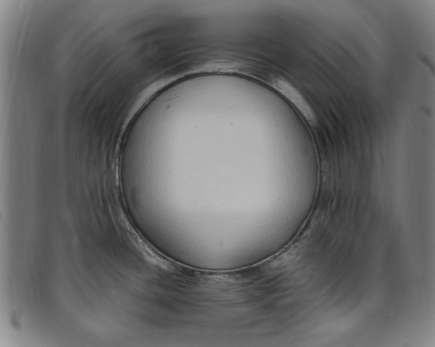 X0000097881436200804041604