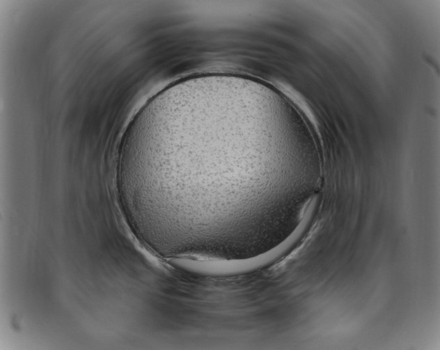 X0000097881437200804041604