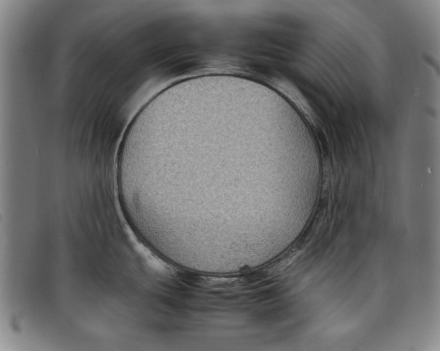 X0000097881439200804041604