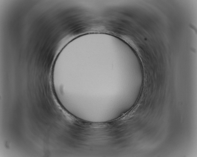 X0000097881440200804041604