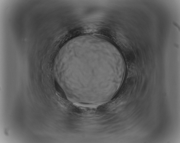 X0000097881441200804041603