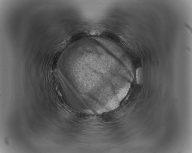 X0000097881443200804041603