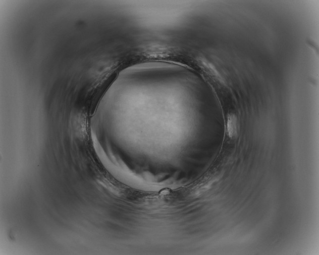 X0000097881444200804041603