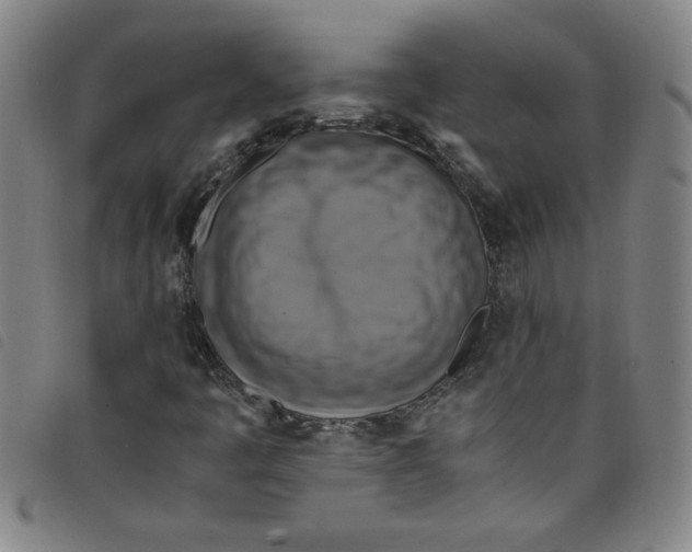 X0000097881445200804041603