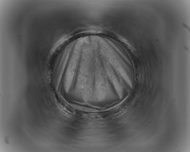 X0000097881448200804041603