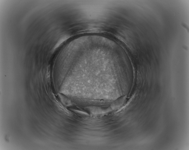 X0000097881450200804041603