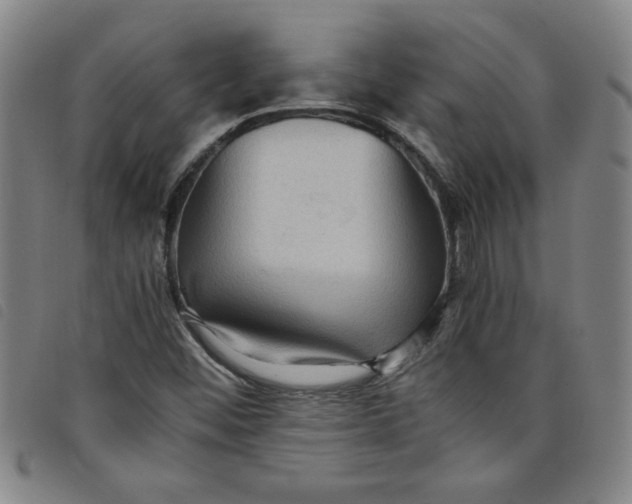 X0000097881452200804041603