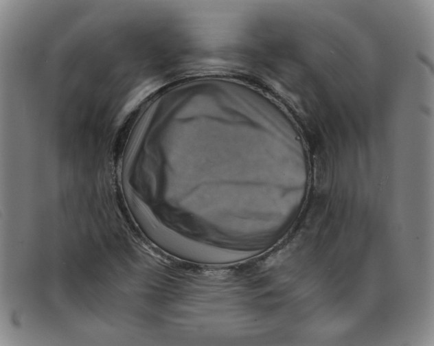 X0000097881453200804041603