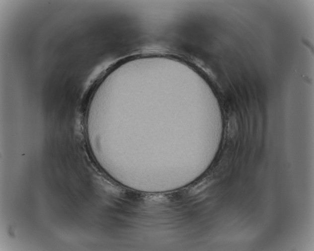 X0000097881454200804041603