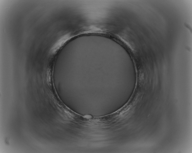 X0000097881455200804041603