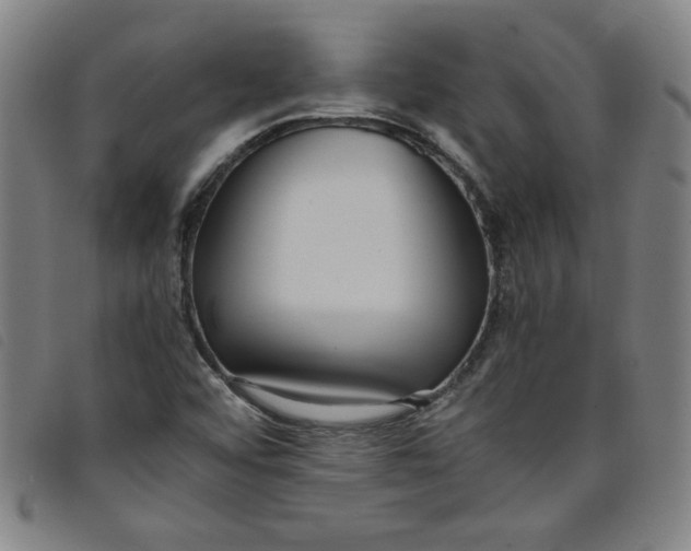 X0000097881456200804041603