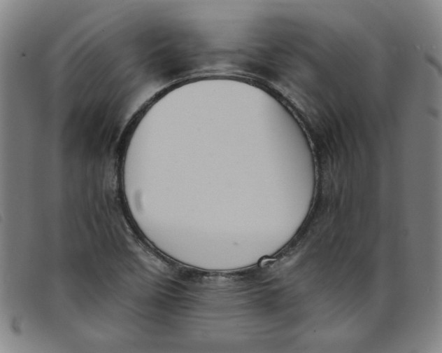 X0000097881458200804041603