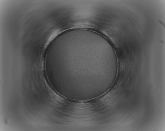 X0000097881459200804041603