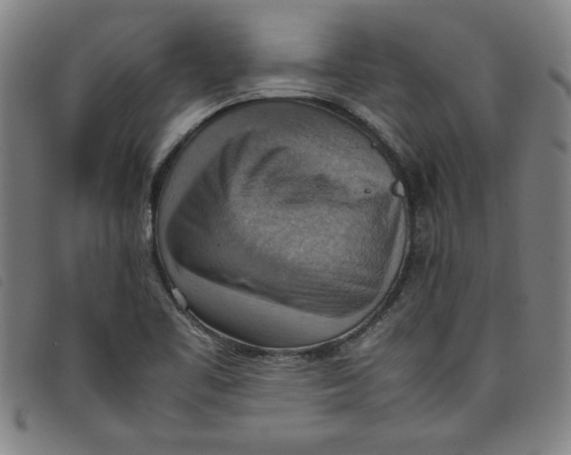 X0000097881461200804041603