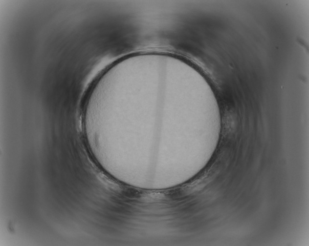 X0000097881462200804041603