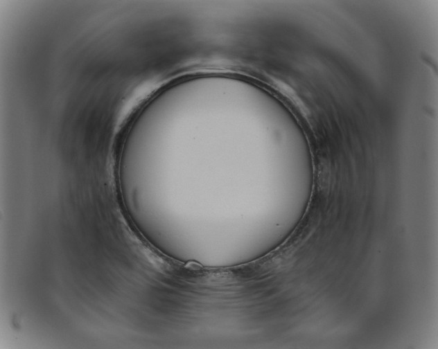 X0000097881464200804041603