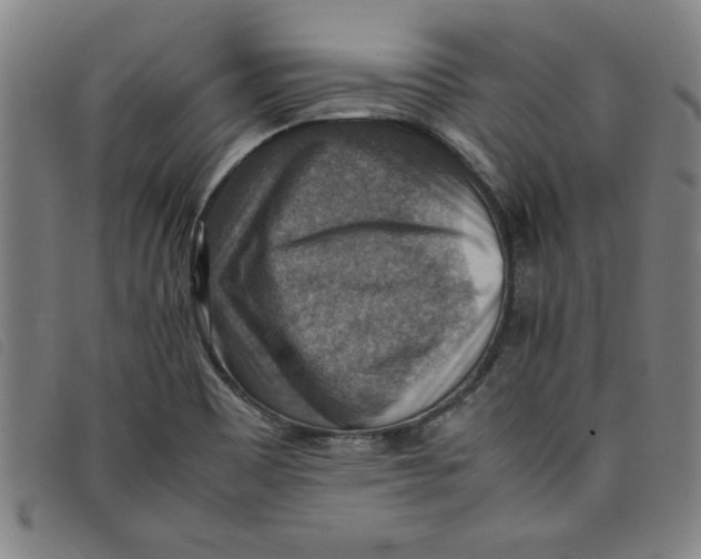 X0000097881465200804041603