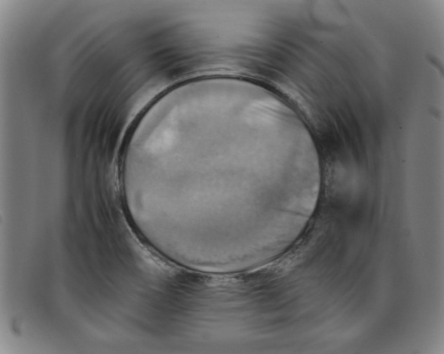 X0000097881466200804041603