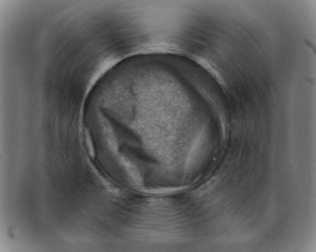 X0000097881469200804041603