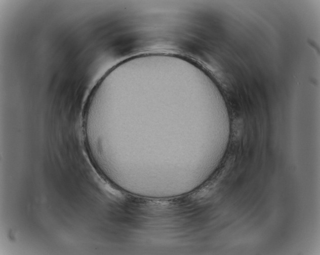 X0000097881470200804041603