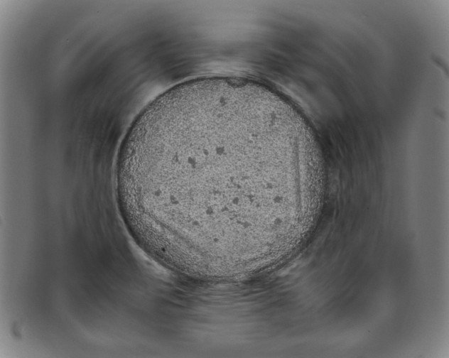 X0000097881471200804041603