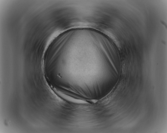 X0000097881472200804041603