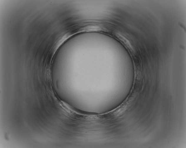 X0000097881473200804041602