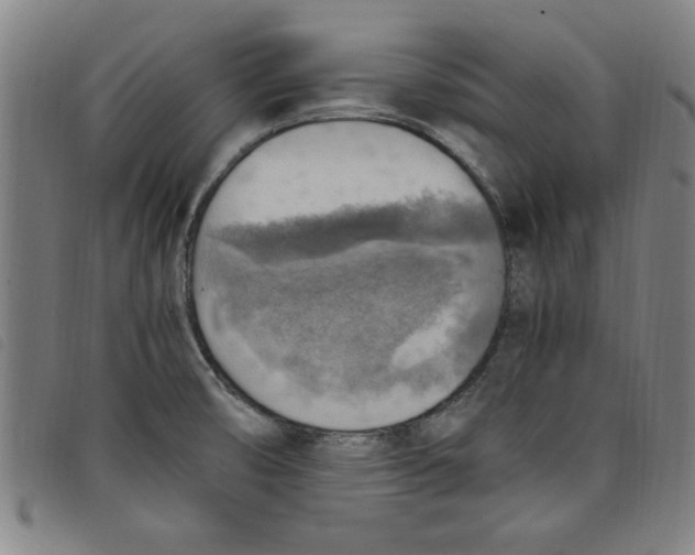 X0000097881474200804041602