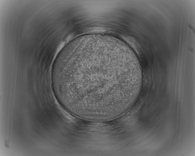 X0000097881475200804041602