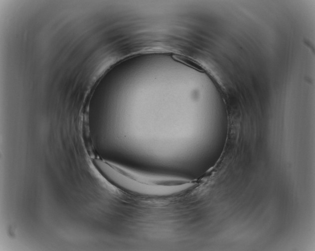 X0000097881476200804041602